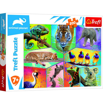 Puzzel tropische dieren in doos 200 stukjes