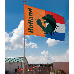 Vlag Holland met leeuw