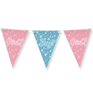 Vlaggenlijn folie Gender Reveal Boy Girl Op is Op