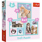 Puzzels Poesjes 3 in 1 in luxe doos