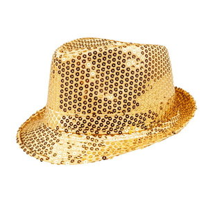 Hoed popstar met pailletten goud Op is Op