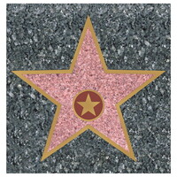 Tafelkleed Hollywood Walk of Fame Op is Op