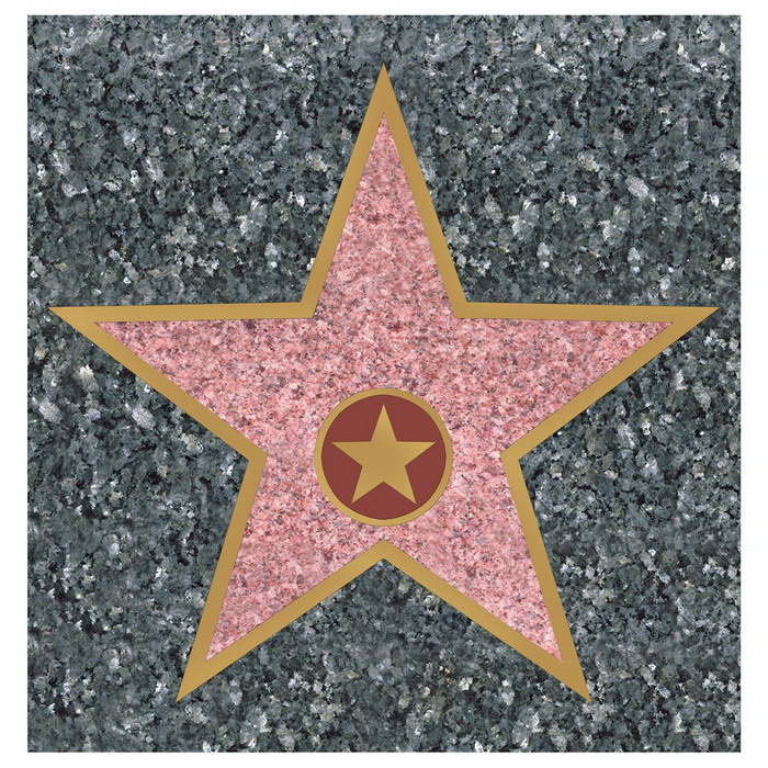 Hollywood walk of fame ster Feestartikelen.nl Feestartikelen.nl Hollywood walk of fame ster Feestartikelen.nl Feestartikelen.nl