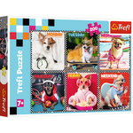Puzzel Honden 200 stukjes Op is Op