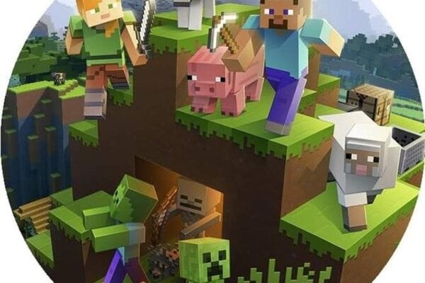 Minecraft feestartikelen en versiering