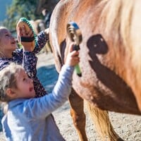 Een paardenthema verjaardagsfeestje voor kinderen