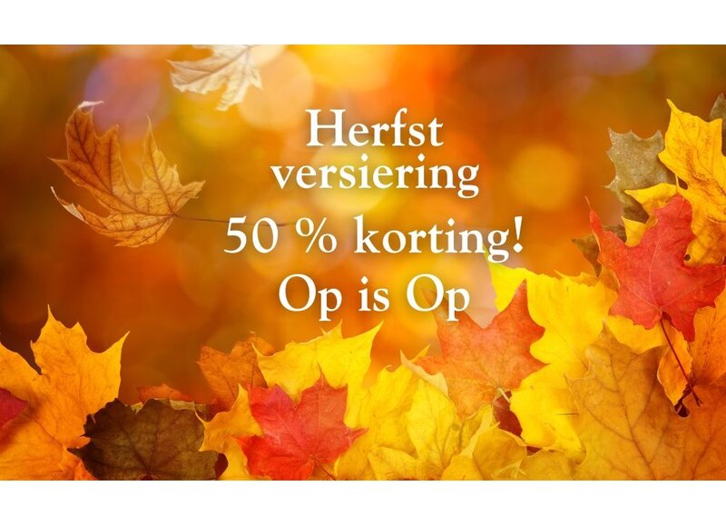 Herfst feestartikelen en versiering Op is Op