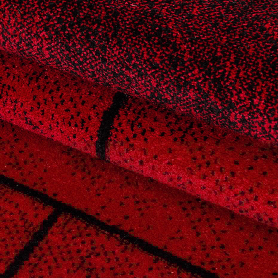 Fano Modern Rood - Zwart vloerkleed - Geblokt