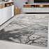 Alba Modern Grijs vloerkleed - Marmer Design Alba Modern Grijs vloerkleed - Marmer Design