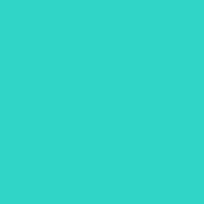 Vloerkleed Turquoise 