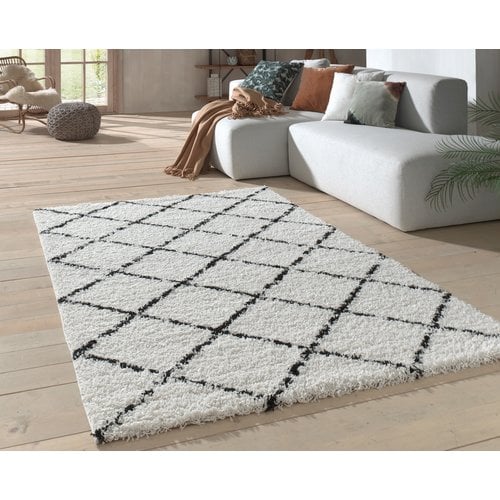 Hoogpolige vloerkleed kopen? Laagste prijsgarantie! Flycarpets.nl