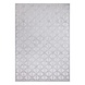Caprenia Buitenkleed Zilver vloerkleed - Indoor & Outdoor Caprenia Buitenkleed Zilver vloerkleed - Indoor & Outdoor