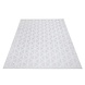 Caprenia Buitenkleed Zilver vloerkleed - Indoor & Outdoor Caprenia Buitenkleed Zilver vloerkleed - Indoor & Outdoor