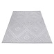 Caprenia Buitenkleed Geruit Zilver vloerkleed - Indoor & Outdoor Caprenia Buitenkleed Geruit Zilver vloerkleed - Indoor & Outdoor