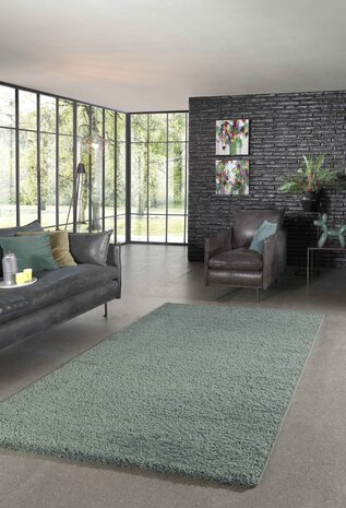 Hoogpolig vloerkleed - Candy Shaggy Pastel Groen
