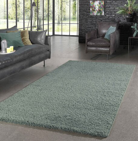 Hoogpolig vloerkleed - Candy Shaggy Pastel Groen