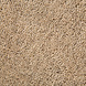 Wollen Loper - Tuscany Naturel/Beige Wollen Loper - Tuscany Naturel/Beige