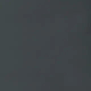 Vloerkleed Antraciet