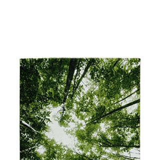 Botanisch vloerkleed