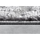 Modern vloerkleed - Gallery Artistique Grijs Modern vloerkleed - Gallery Artistique Grijs
