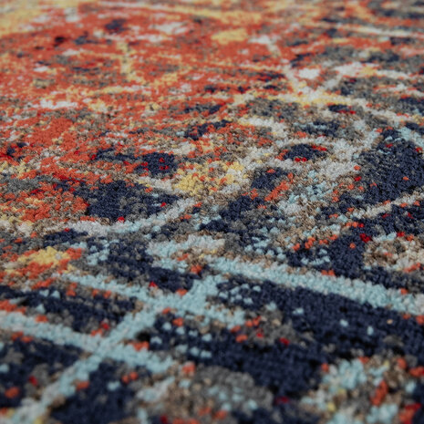 Binnen en Buitenkleed Artalli - Klassiek Design - Multi