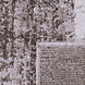 Laagpolig Vloerkleed Bareta - Modern - Geblokt - Beige Laagpolig Vloerkleed Bareta - Modern - Geblokt - Beige