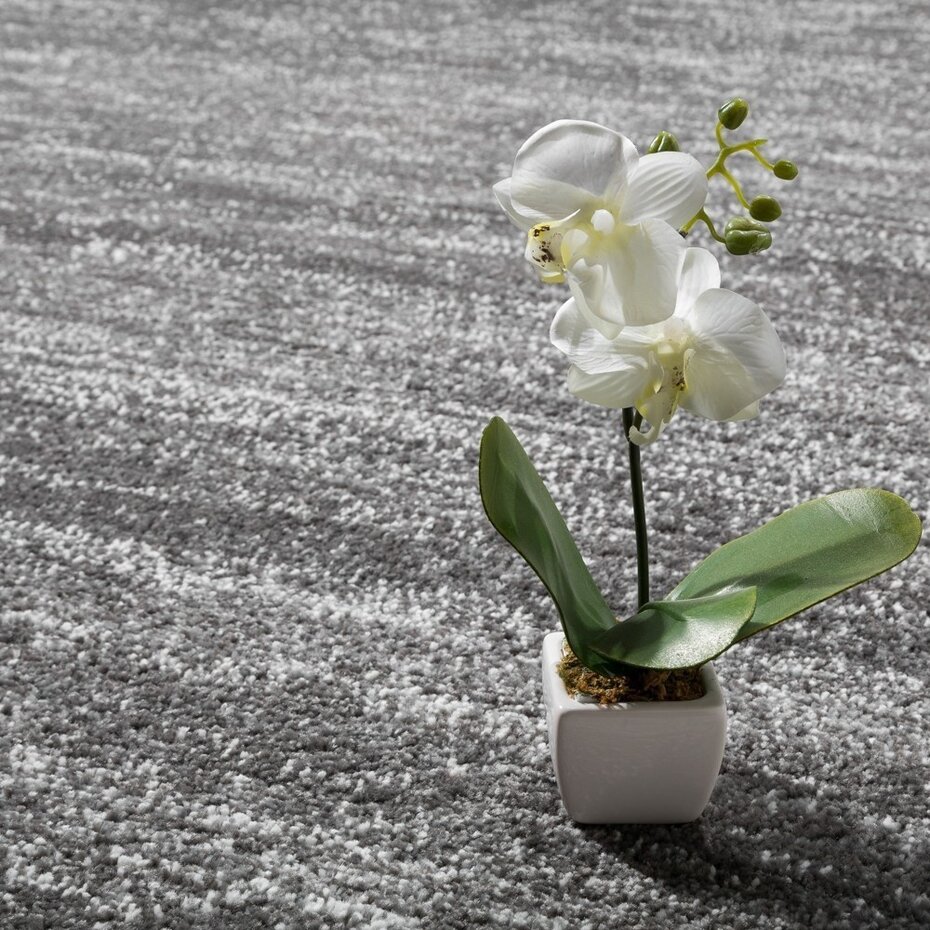 Laagpolig Vloerkleed - Eceria - Gemeleerd Modern - Grijs Laagpolig Vloerkleed - Eceria - Gemeleerd Modern - Grijs