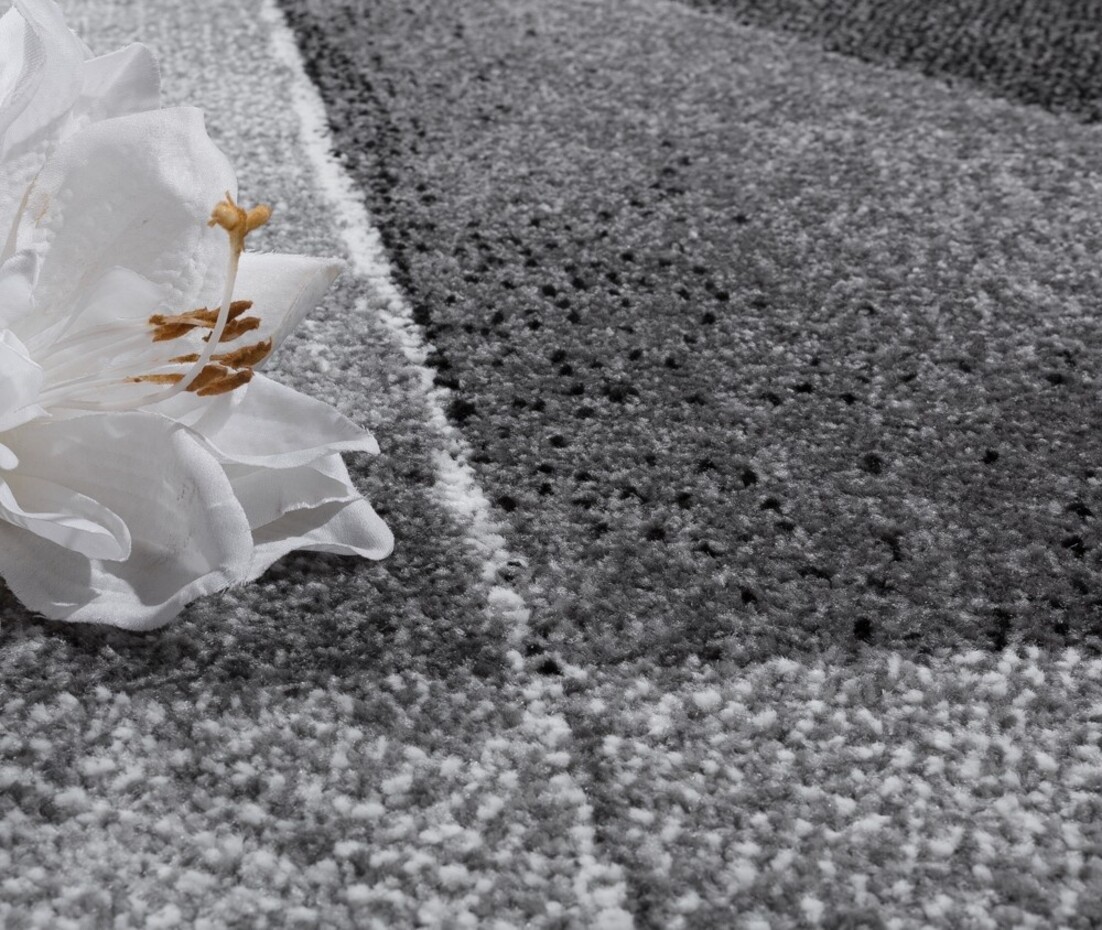 Laagpolig Vloerkleed - Eceria - Geo Modern - Grijs Laagpolig Vloerkleed - Eceria - Geo Modern - Grijs