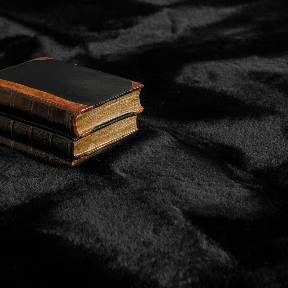 Hoogpolig Rabbit Plus Vloerkleed - Effen Uni - Zwart Hoogpolig Rabbit Plus Vloerkleed - Effen Uni - Zwart