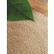 Jute vloerkleed - Jutta Rond Crème/Naturel Jute vloerkleed - Jutta Rond Crème/Naturel