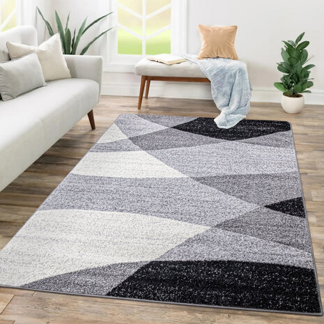 Modern vloerkleed - Fiest Grijs - 80x150 cm