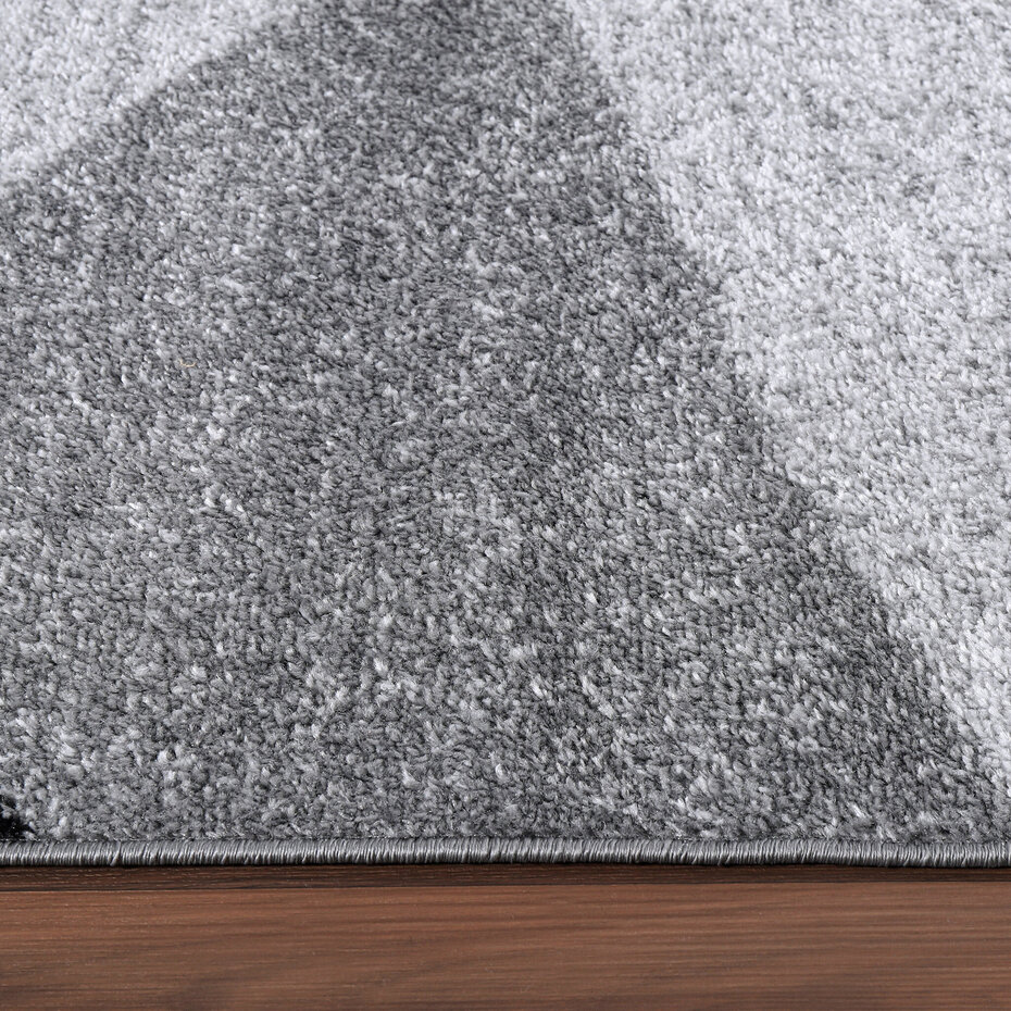 Modern vloerkleed - Fiest Grijs - 80x150 cm