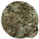 Rond hoogpolig vloerkleed - Cosy Calida Groen Rond hoogpolig vloerkleed - Cosy Calida Groen