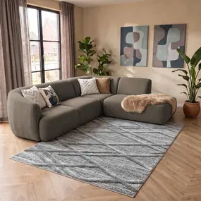 Sofia Modern Grijs vloerkleed