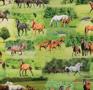 Decostoffen Paarden groen - digitale print