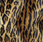 Velboa