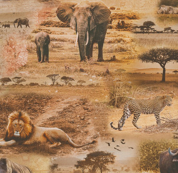 Decostoffen Safari big five digitale print