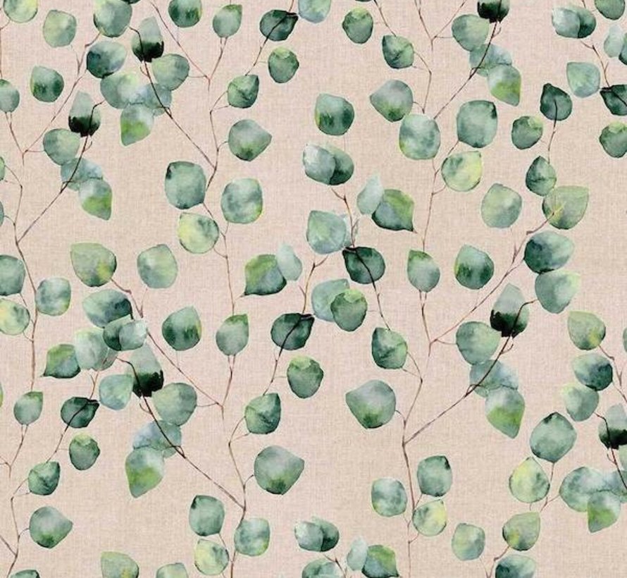 Eucalyptus linnenlook