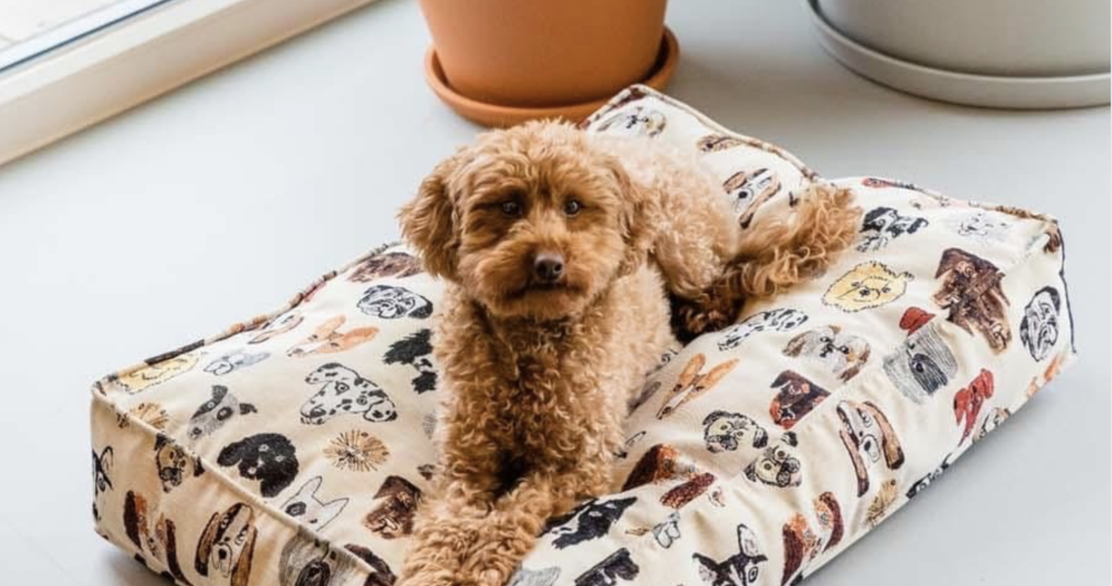 Hondenmand zelf maken van stof: zo maak je een comfortabele mand voor je trouwe viervoeter