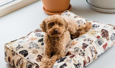 Hondenmand zelf maken van stof: zo maak je een comfortabele mand voor je trouwe viervoeter