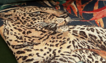 Wat is de beste vulling voor een hondenkussen?