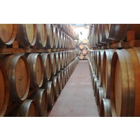 BIO dynamische Spaanse rode wijn (75cl) - El Recio