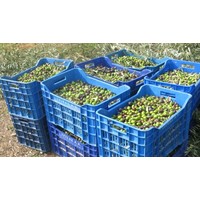 Tapenade aus grünen Oliven aus Griechenland (125ml)