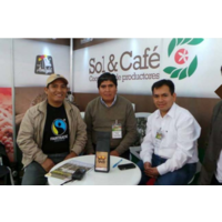 Spicy Sara: zongeroosterde, fair-trade en biologische koffie (500g)
