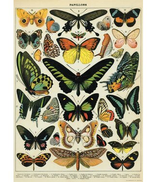 Cavallini Papers & Co - Butterflies - Wrap/Poster