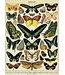 Cavallini Papers & Co - Butterflies - Wrap/Poster