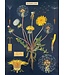 Cavallini Papers & Co - Dandelion - Wrap/Poster