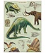 Cavallini Papers & Co - Dinosaur - Wrap