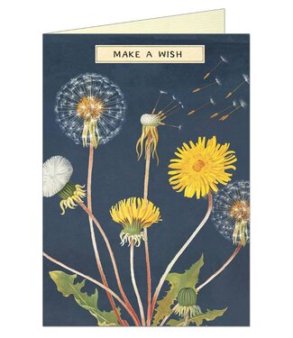 Cavallini Papers & Co - Make a Wish - Greeting Card