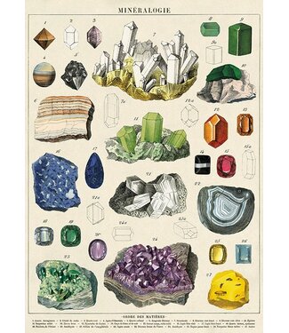 Cavallini - Minerales - Papel Regalo/Póster